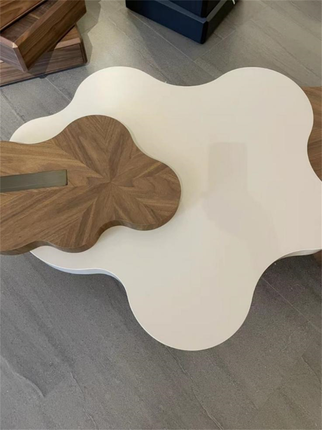 bosa furniture-coffee table-A-ER051