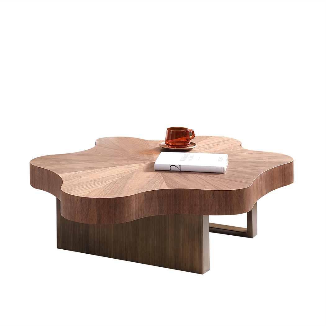 bosa furniture-coffee table-A-ER051