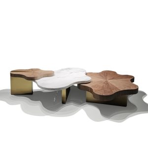 bosa furniture-coffee table-A-ER051