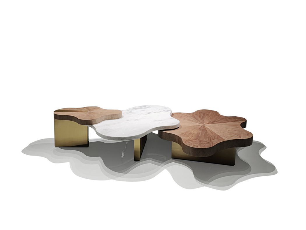 bosa furniture-coffee table-A-ER051